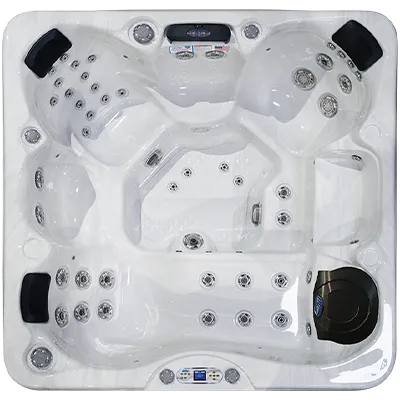 Avalon EC-849L hot tubs for sale in Olathe